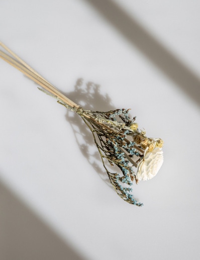 BOUQUET PARA DIFUSOR SUMMER
