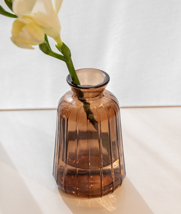 FLORERO THELMA AMBER
