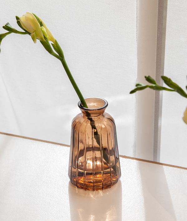 FLORERO THELMA AMBER