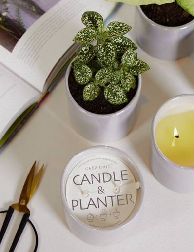 VELA CANDLE&PLANTER GREY