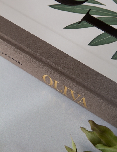 LIBRO OLIVA: MIGUEL ZUCCARDI