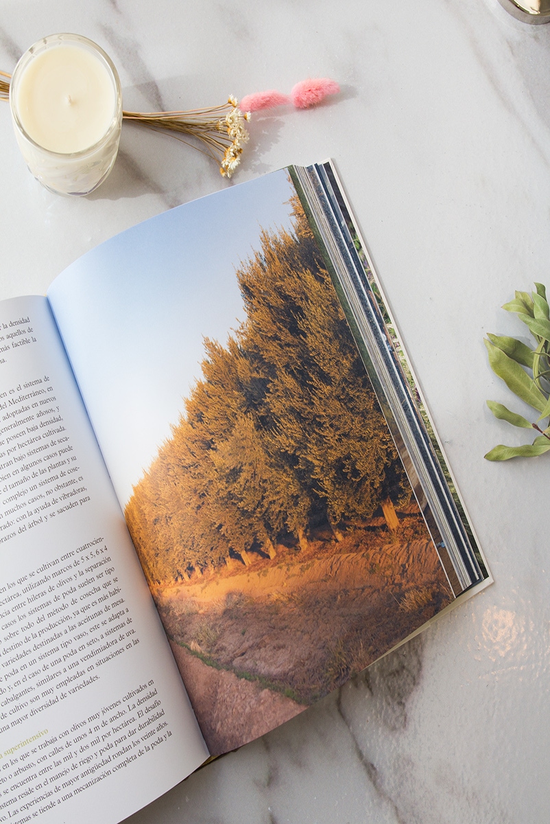 LIBRO OLIVA: MIGUEL ZUCCARDI