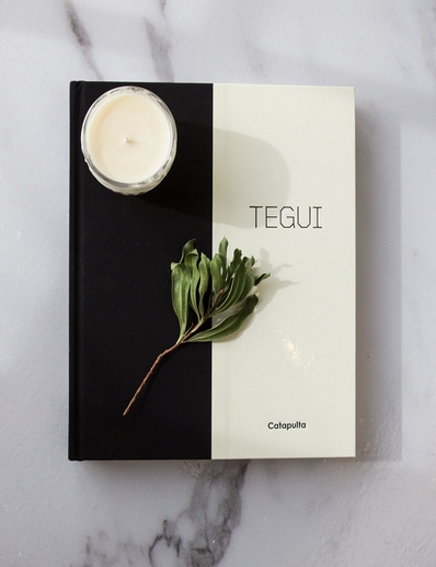 LIBRO TEGUI