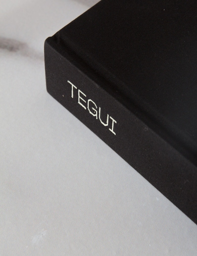 LIBRO TEGUI