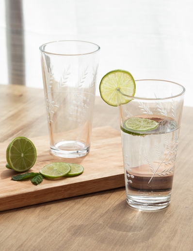 VASO FOREST