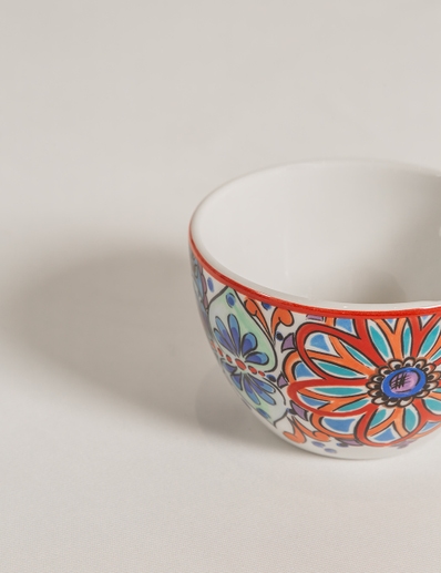 BOWL PRINTS MULTI