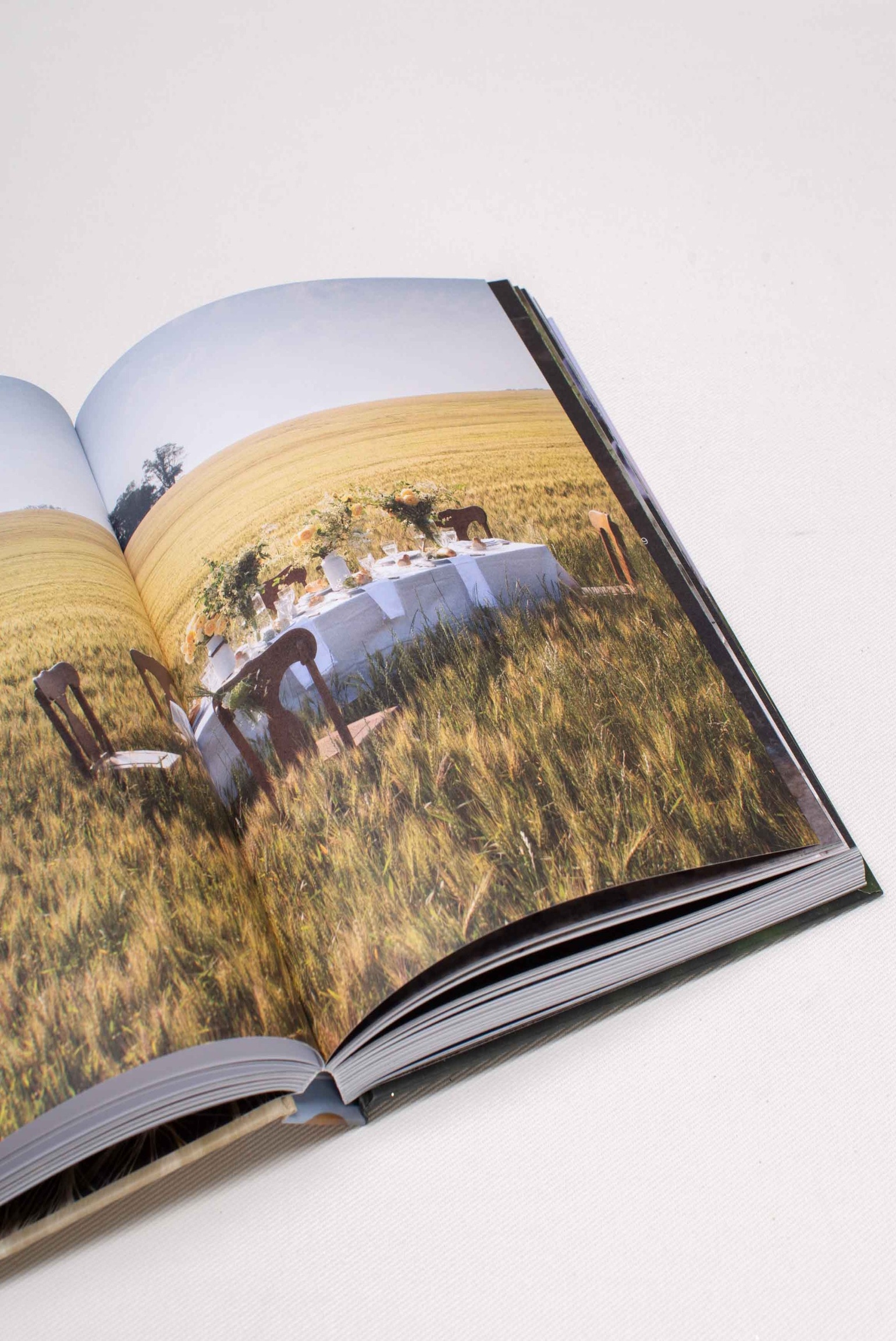 LIBRO CAMPO