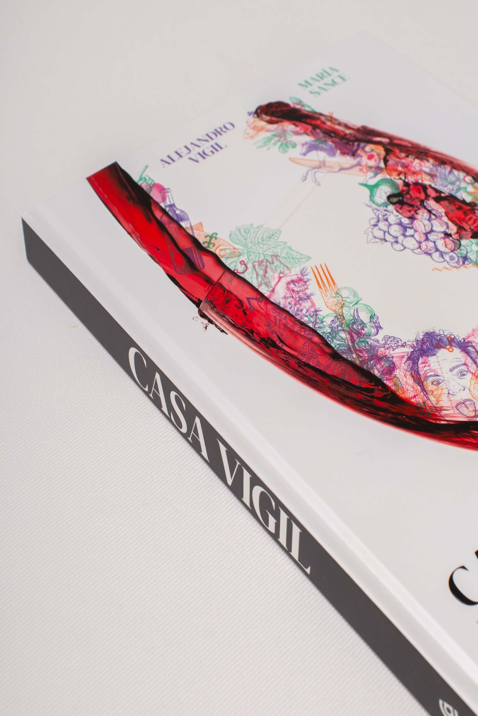 LIBRO CASA VIGIL