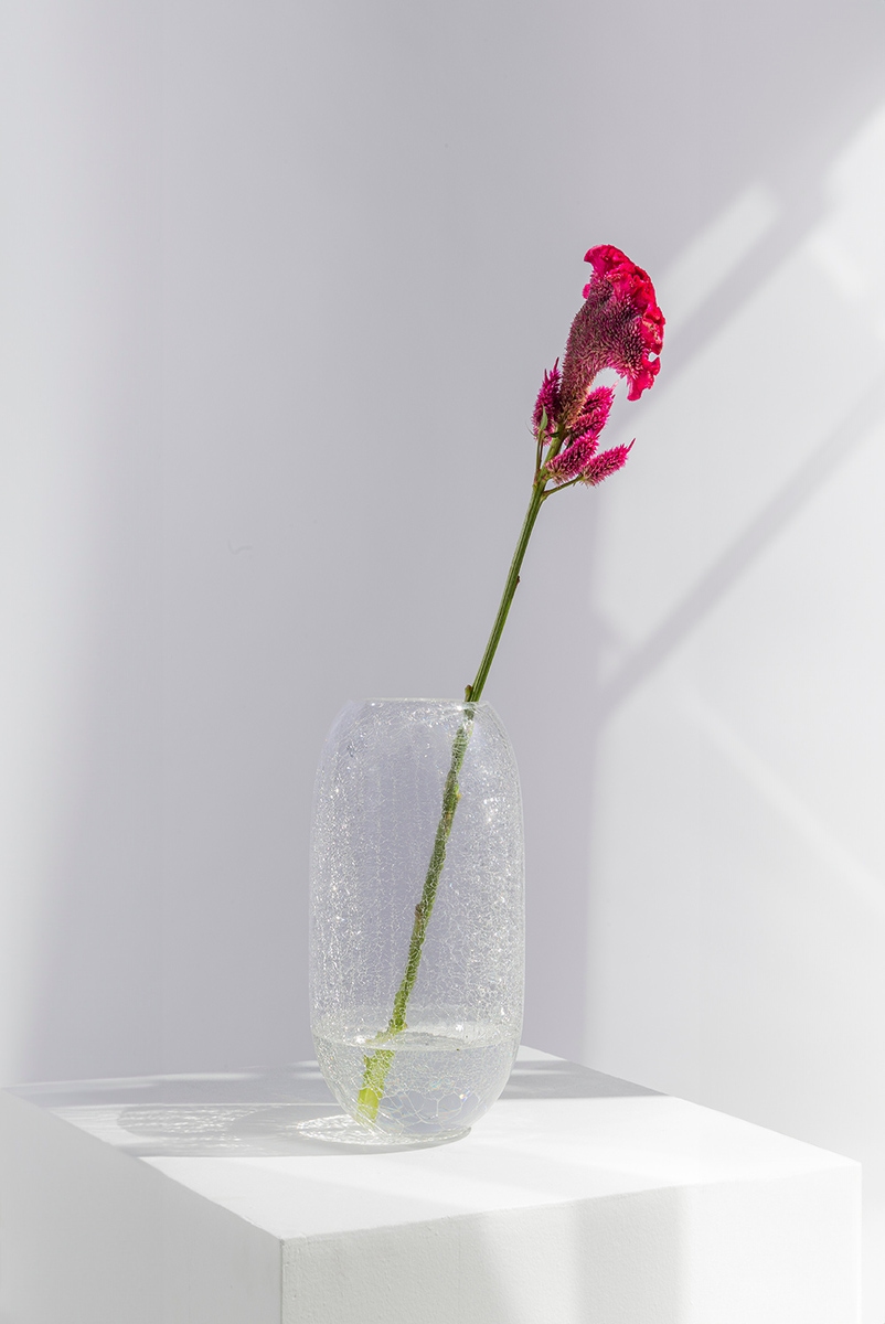 FLORERO MILAN CLEAR